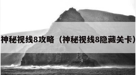神秘视线8攻略（神秘视线8隐藏关卡）