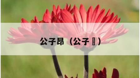 公子昂（公子卬）