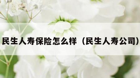 民生人寿保险怎么样（民生人寿公司）