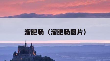 溜肥肠（溜肥肠图片）