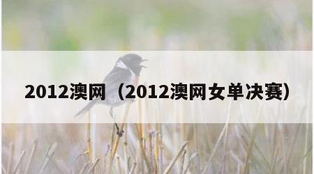 2012澳网（2012澳网女单决赛）