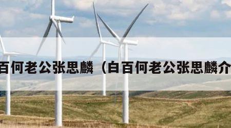 白百何老公张思麟（白百何老公张思麟介绍）