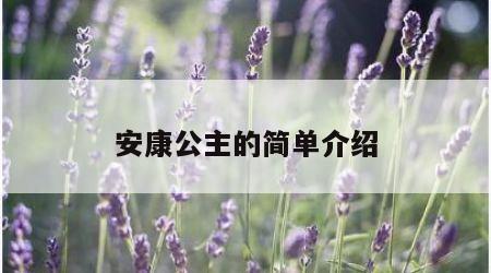 安康公主的简单介绍