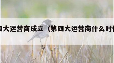 第四大运营商成立（第四大运营商什么时候上市）