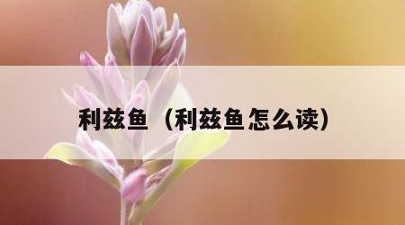 利兹鱼（利兹鱼怎么读）