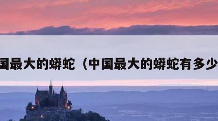 中国最大的蟒蛇（中国最大的蟒蛇有多少斤）