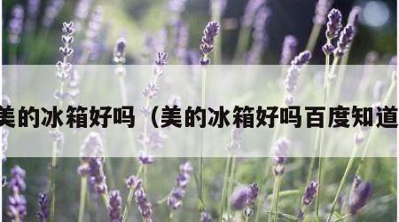 美的冰箱好吗（美的冰箱好吗百度知道）