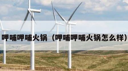 呷哺呷哺火锅（呷哺呷哺火锅怎么样）