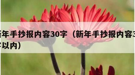 新年手抄报内容30字（新年手抄报内容30字以内）