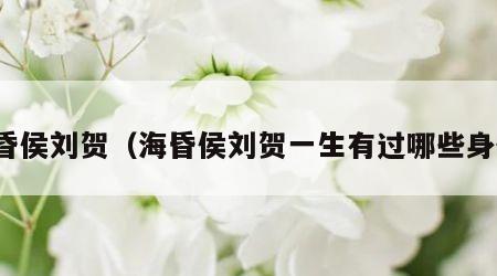 海昏侯刘贺（海昏侯刘贺一生有过哪些身份）