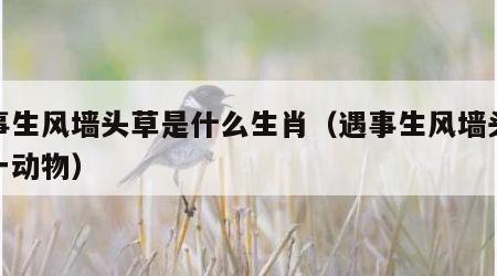 遇事生风墙头草是什么生肖（遇事生风墙头草打一动物）