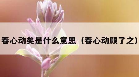 春心动矣是什么意思（春心动顾了之）
