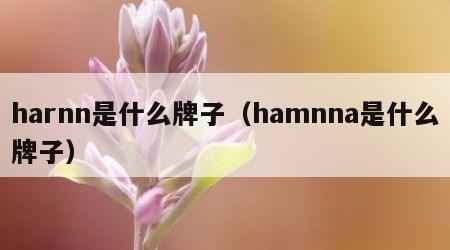 harnn是什么牌子（hamnna是什么牌子）