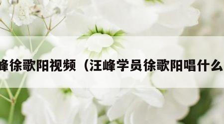 汪峰徐歌阳视频（汪峰学员徐歌阳唱什么歌）