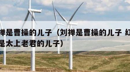 刘禅是曹操的儿子（刘禅是曹操的儿子 红孩儿是太上老君的儿子）