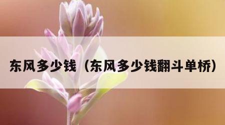 东风多少钱（东风多少钱翻斗单桥）