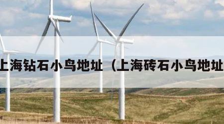 上海钻石小鸟地址（上海砖石小鸟地址）