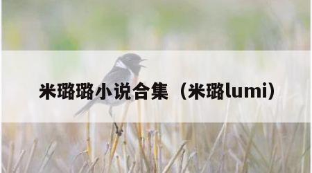 米璐璐小说合集（米璐lumi）