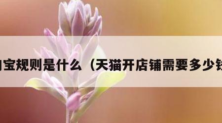淘宝规则是什么（天猫开店铺需要多少钱）