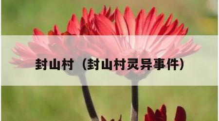 封山村（封山村灵异事件）
