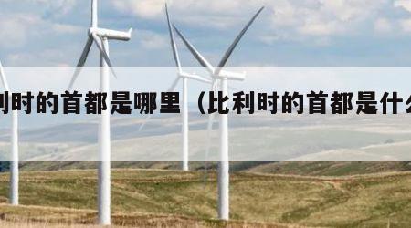 比利时的首都是哪里（比利时的首都是什么地方）