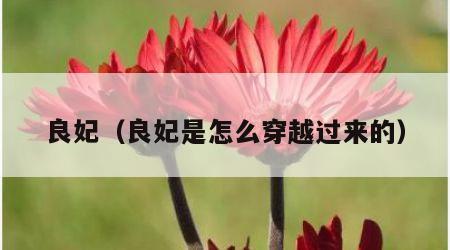 良妃（良妃是怎么穿越过来的）