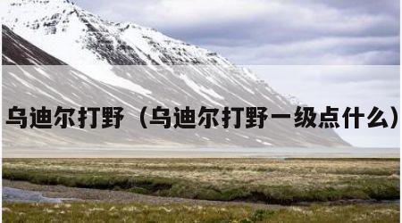 乌迪尔打野（乌迪尔打野一级点什么）