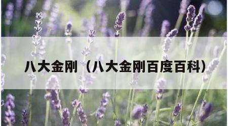 八大金刚（八大金刚百度百科）