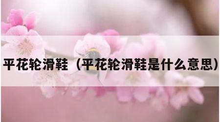 平花轮滑鞋（平花轮滑鞋是什么意思）
