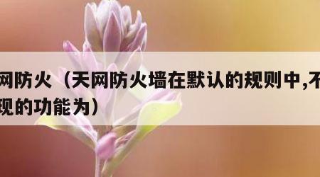 天网防火（天网防火墙在默认的规则中,不能实现的功能为）