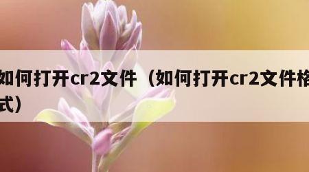 如何打开cr2文件（如何打开cr2文件格式）
