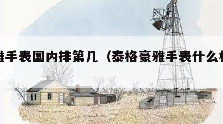 格雅手表国内排第几（泰格豪雅手表什么档次）