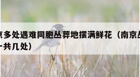 南京多处遇难同胞丛葬地摆满鲜花（南京丛葬地一共几处）
