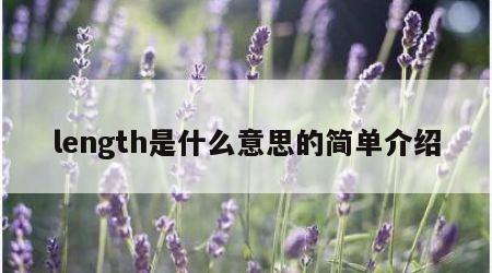 length是什么意思的简单介绍