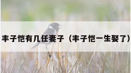 丰子恺有几任妻子（丰子恺一生娶了）