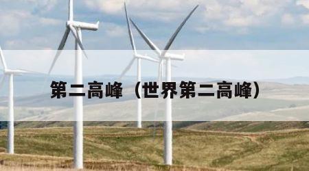 第二高峰（世界第二高峰）