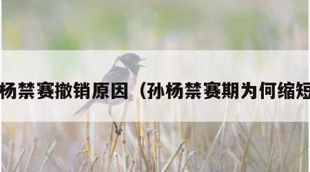 孙杨禁赛撤销原因（孙杨禁赛期为何缩短?）