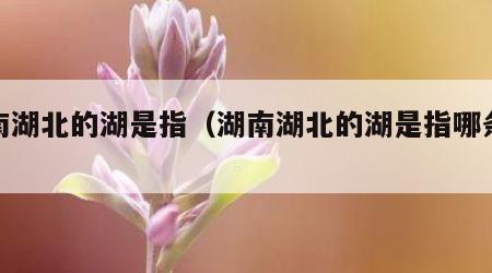 湖南湖北的湖是指（湖南湖北的湖是指哪条河）