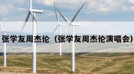 张学友周杰伦（张学友周杰伦演唱会）