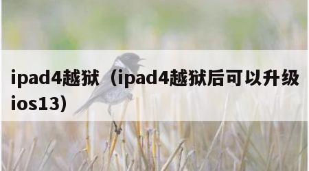 ipad4越狱（ipad4越狱后可以升级ios13）