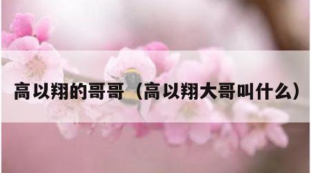 高以翔的哥哥（高以翔大哥叫什么）