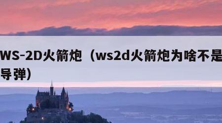 WS-2D火箭炮（ws2d火箭炮为啥不是导弹）
