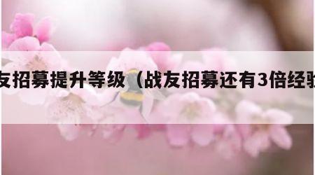 战友招募提升等级（战友招募还有3倍经验吗）