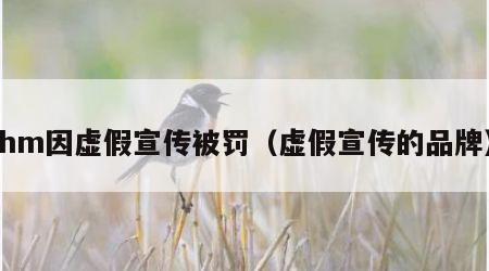 hm因虚假宣传被罚（虚假宣传的品牌）