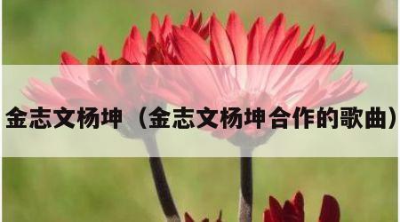 金志文杨坤（金志文杨坤合作的歌曲）