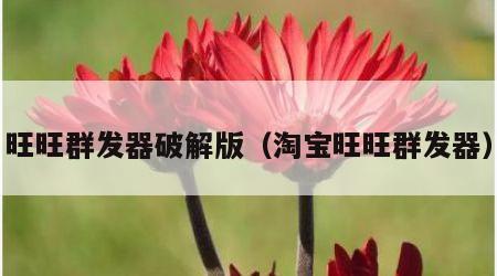 旺旺群发器破解版（淘宝旺旺群发器）