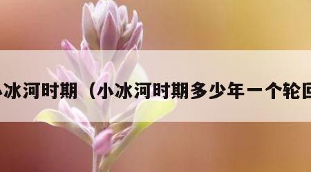 小冰河时期（小冰河时期多少年一个轮回）
