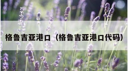 格鲁吉亚港口（格鲁吉亚港口代码）