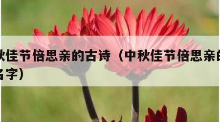 中秋佳节倍思亲的古诗（中秋佳节倍思亲的古诗名字）