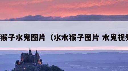 水猴子水鬼图片（水水猴子图片 水鬼视频）